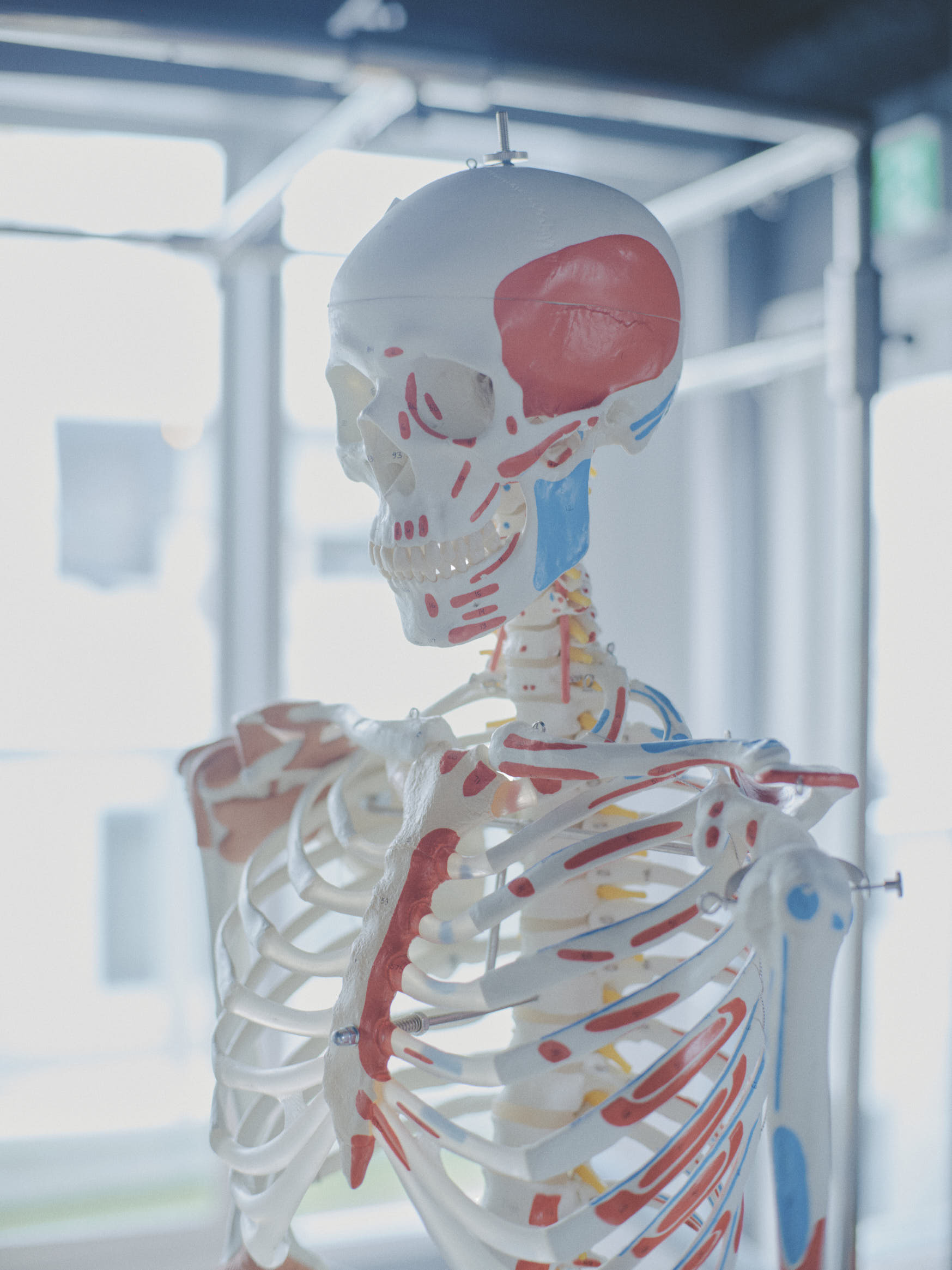 痩せない理由は運動不足じゃなく“呼吸”だった?