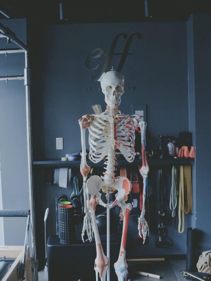 【O脚・X脚は“整えるだけ”では変わらない】ピラティスとトレーニングを繋げて、本当に変わる脚への画像